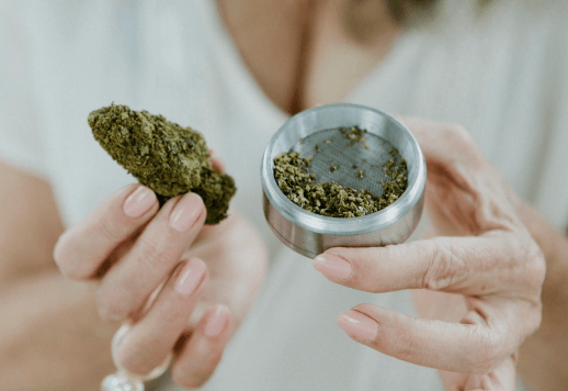 Understanding Cannabis Strains: Indica, Sativa, and Hybrid